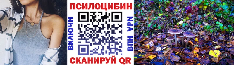 Псилоцибиновые грибы прущие грибы  Касли 